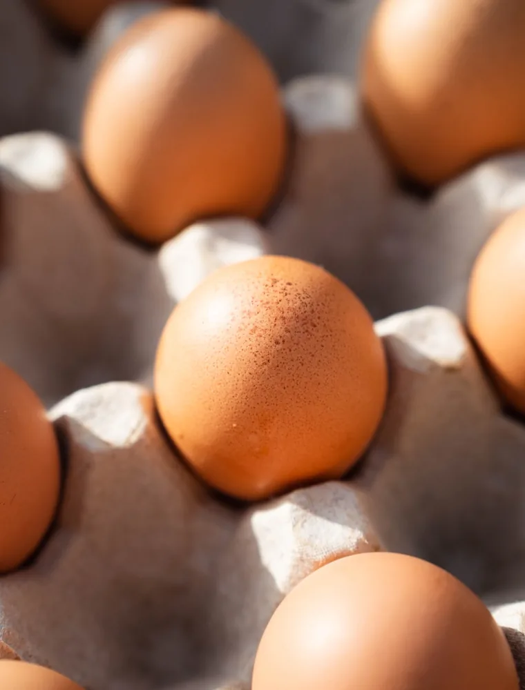 Huevos del país de cáscara marrón en su bandeja de cartón